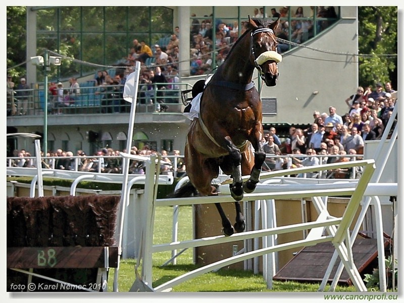 Bratislava - 23. m�ja 2010 