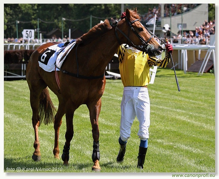 Bratislava - 23. m�ja 2010 