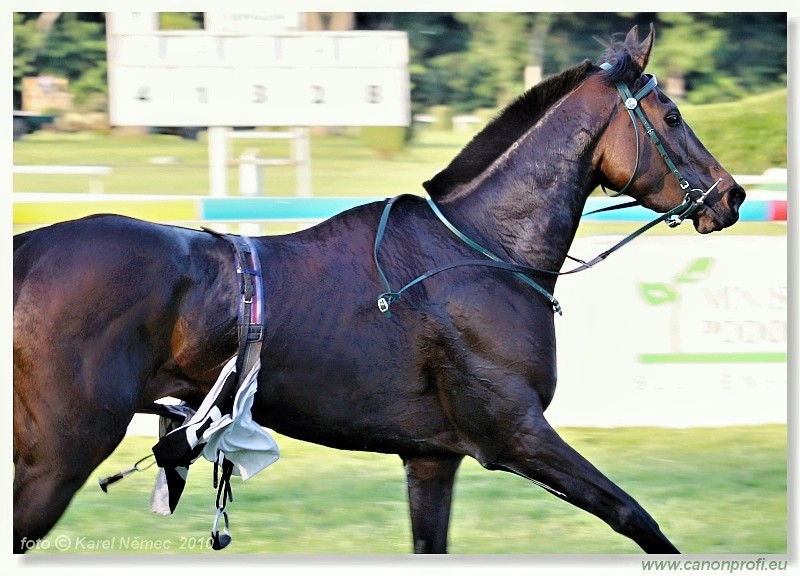 Bratislava - 06. jna 2010 