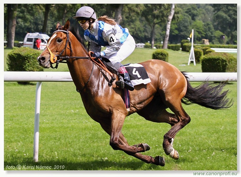 Bratislava - 13. j�na 2010 