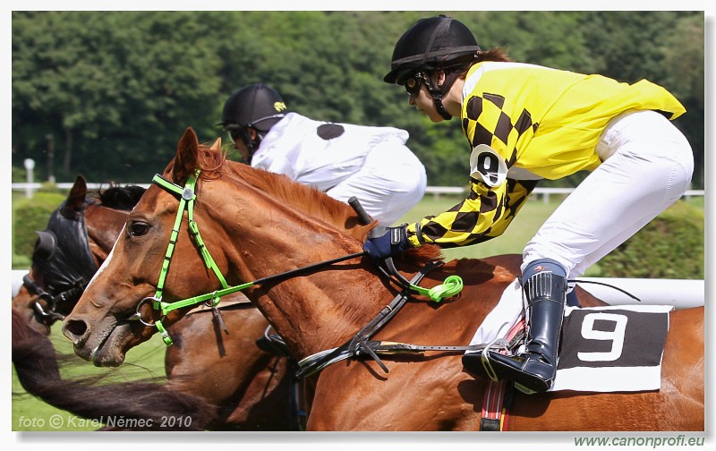 Bratislava - 13. j�na 2010 