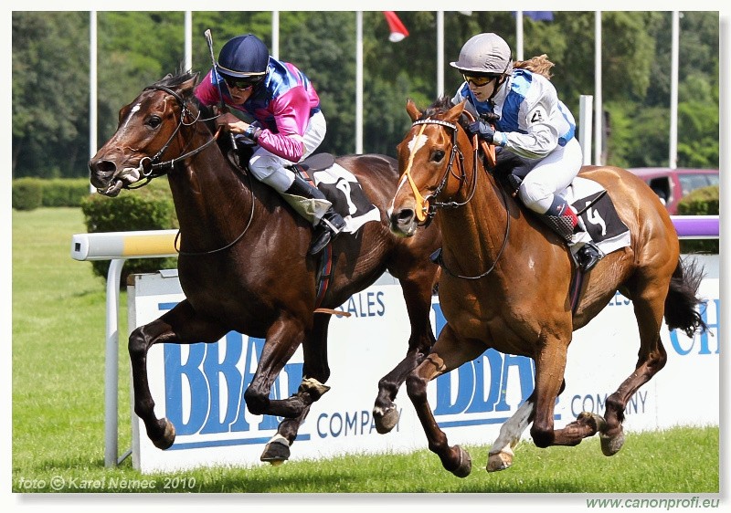 Bratislava - 13. j�na 2010 