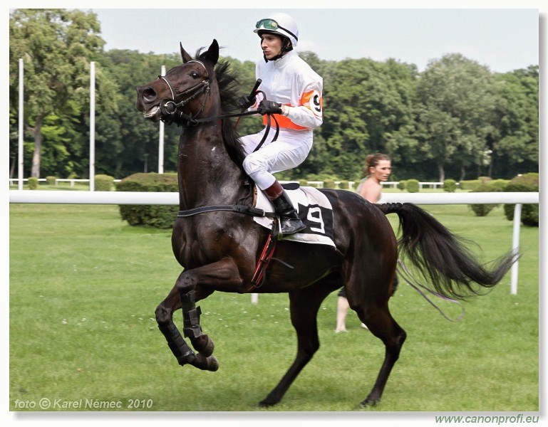 Bratislava - 13. j�na 2010 