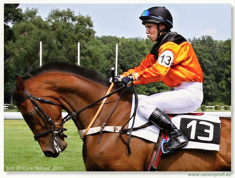 Bratislava - 13. j�na 2010 