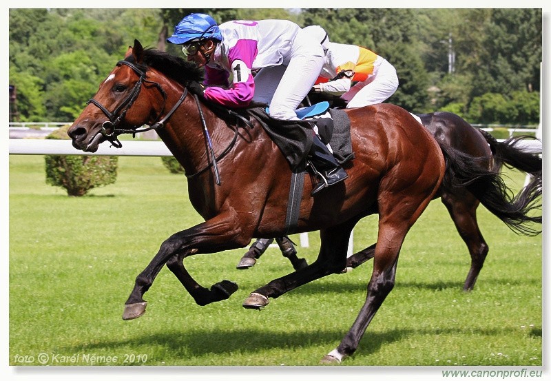 Bratislava - 13. j�na 2010 