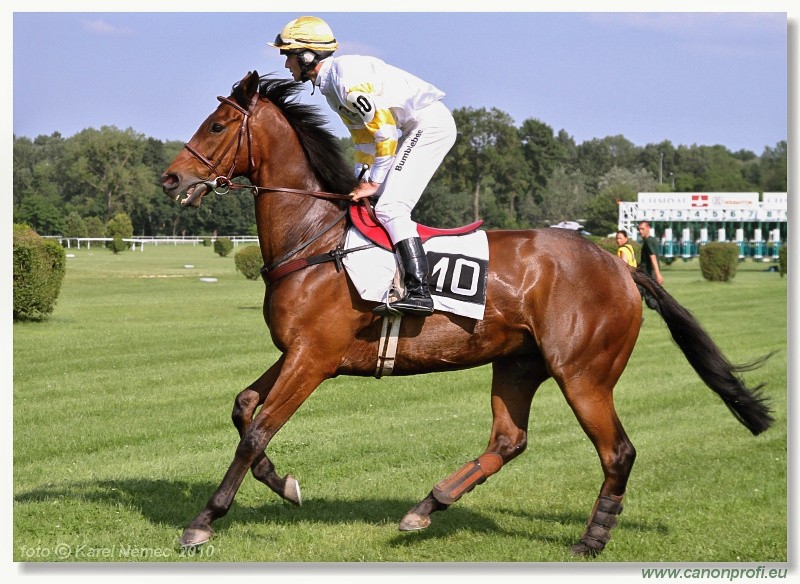 Bratislava - 13. jna 2010 