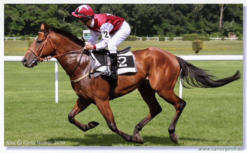 Bratislava - 26. j�na 2010 