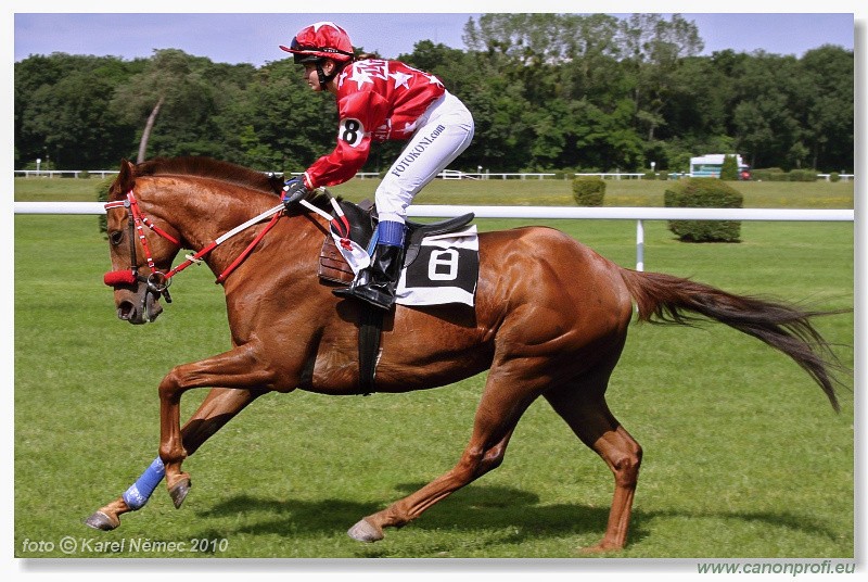 Bratislava - 26. j�na 2010 