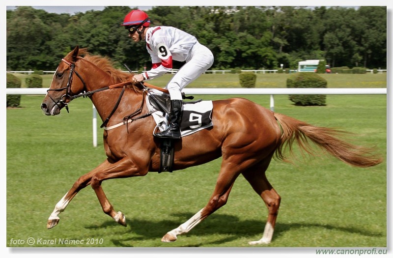 Bratislava - 26. j�na 2010 