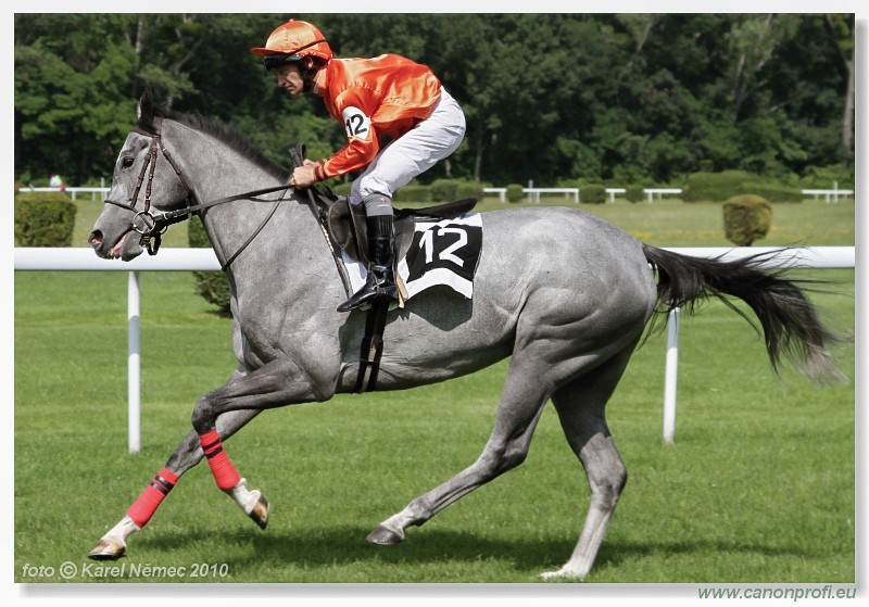 Bratislava - 26. j�na 2010 