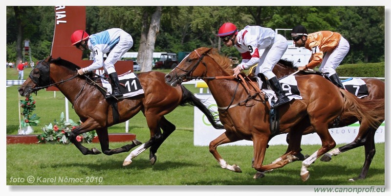 Bratislava - 26. j�na 2010 