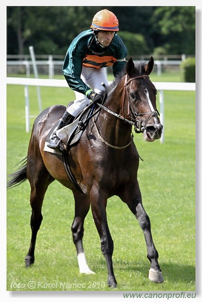 Bratislava - 26. j�na 2010 