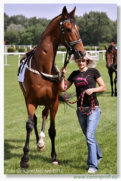 Bratislava - 26. j�na 2010 