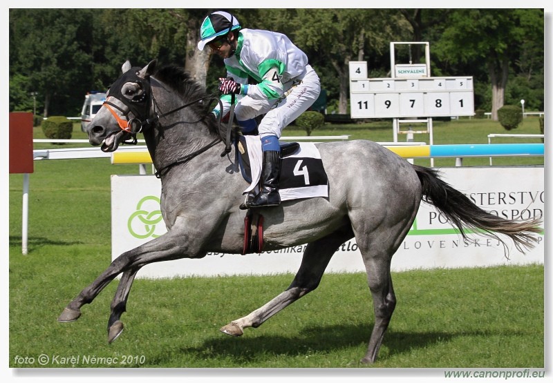 Bratislava - 26. j�na 2010 