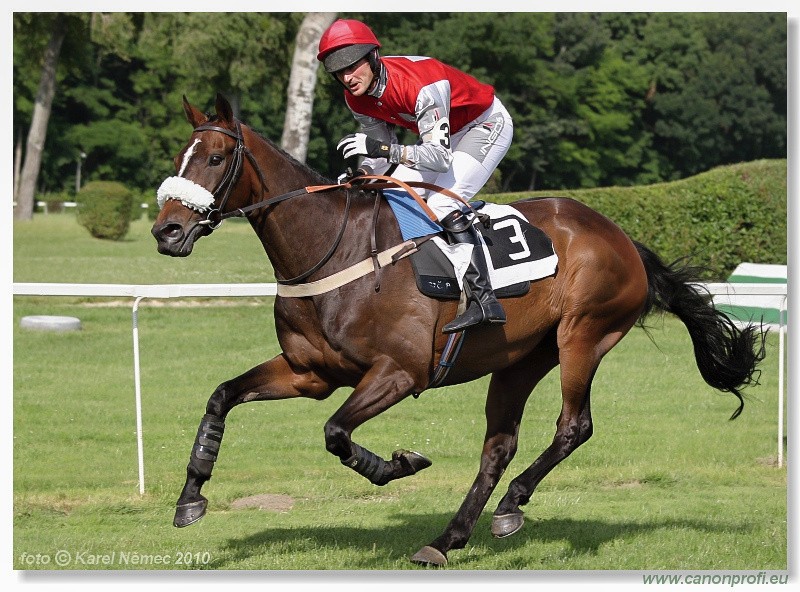 Bratislava - 26. j�na 2010 