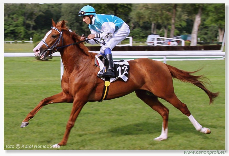 Bratislava - 26. j�na 2010 