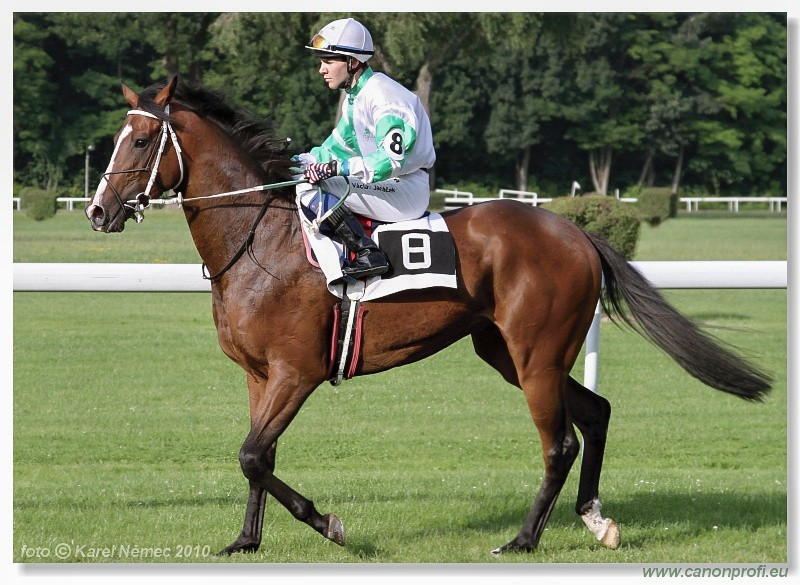 Bratislava - 26. jna 2010 