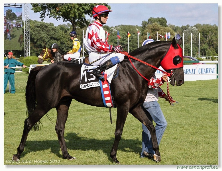 Bratislava - 18. j�la 2010 