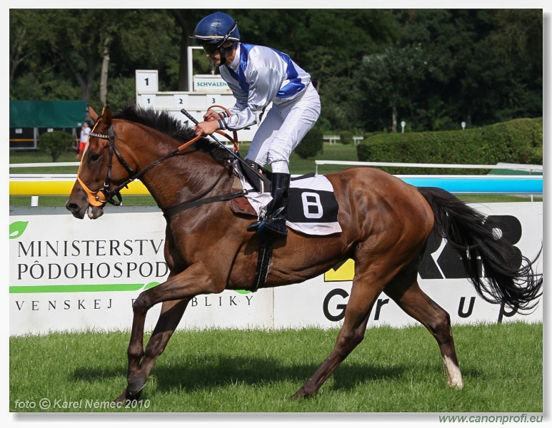 Bratislava - 14. augusta 2010 