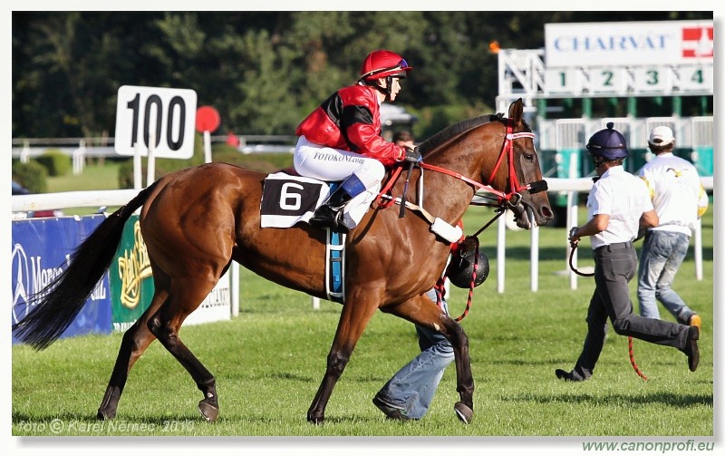 Bratislava - 29. augusta 2010 