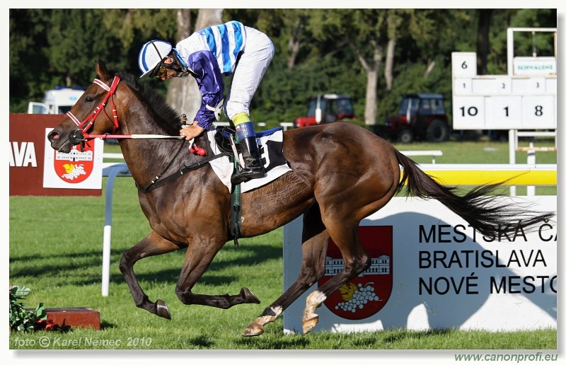 Bratislava - 29. augusta 2010 