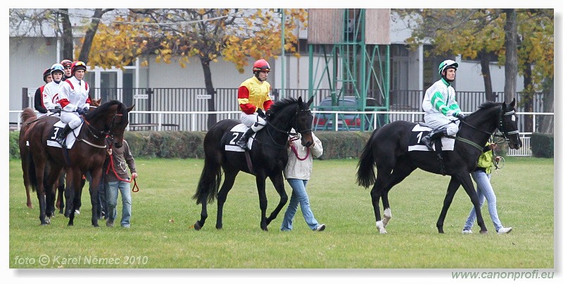 Bratislava - 31. oktbra 2010 