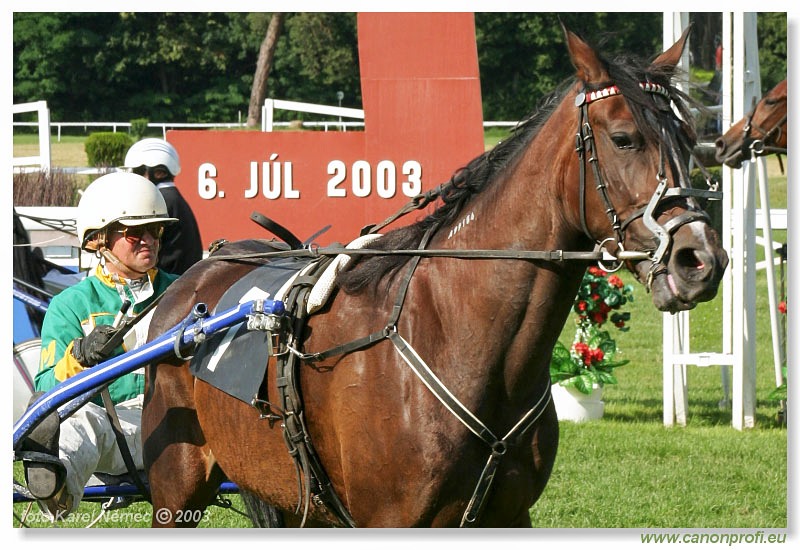 Bratislava - 06. júla 2003