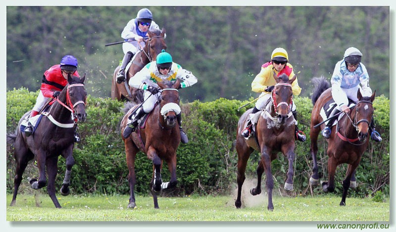 Bratislava - 26. aprla 2009 