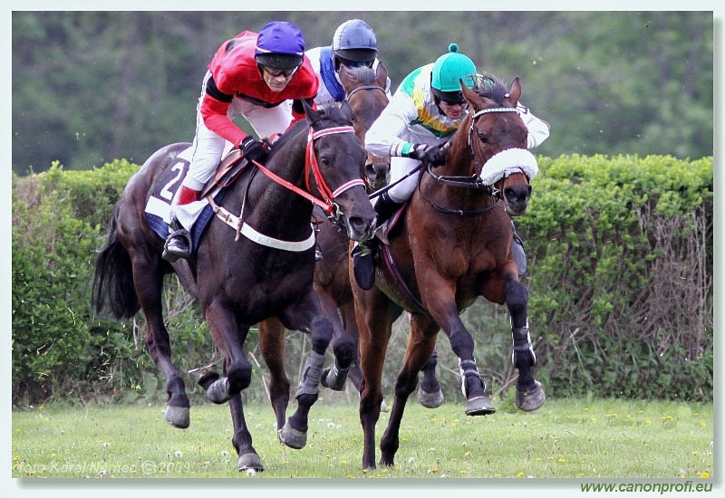 Bratislava - 26. aprla 2009 