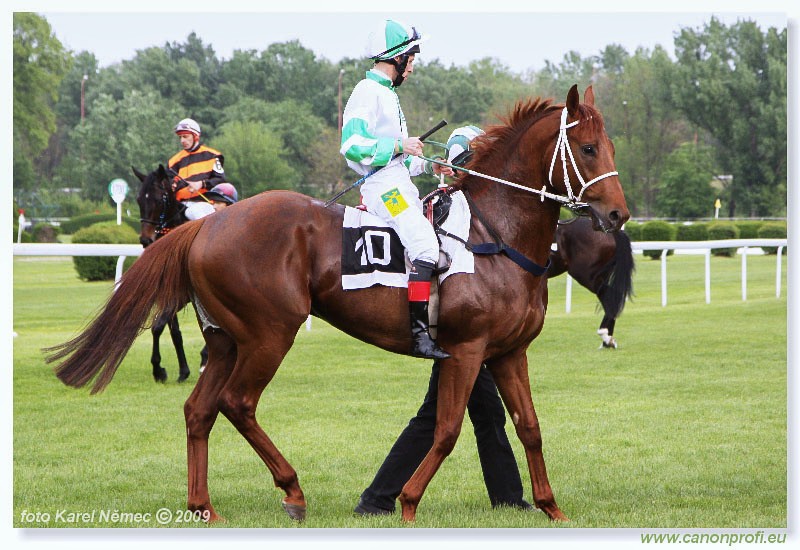 Bratislava - 26. aprla 2009 