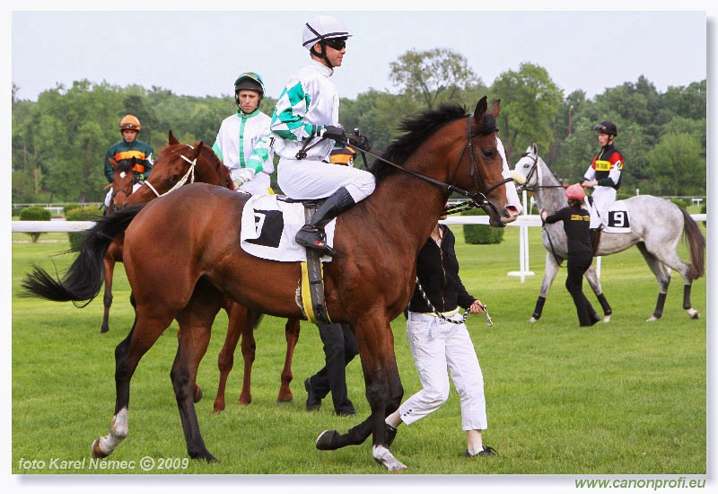 Bratislava - 26. aprla 2009 