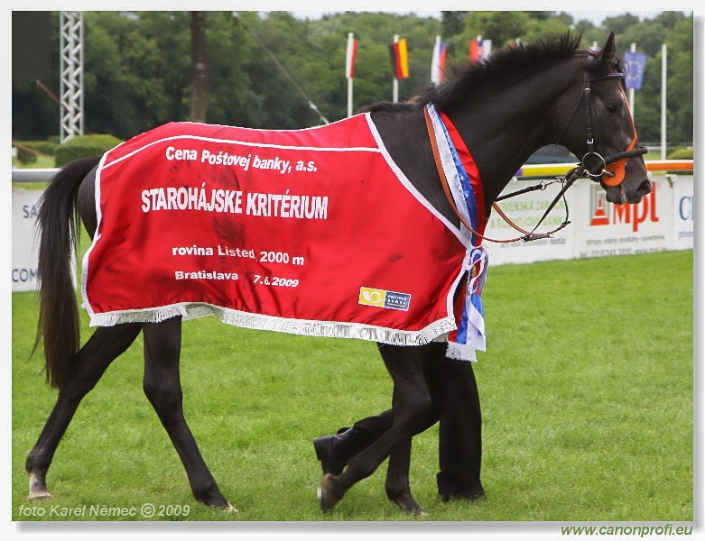 Bratislava - 07. j�na 2009 