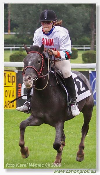 Bratislava - 07. j�na 2009 