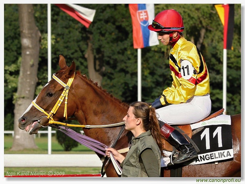 Bratislava - 13. septembra 2009 