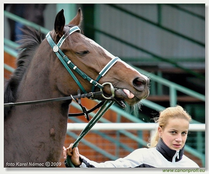 Bratislava - 18. oktbra 2009 