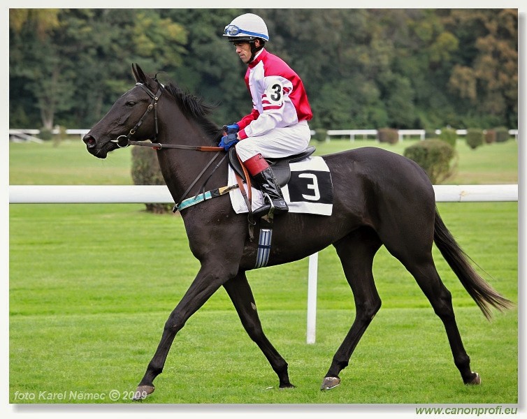 Bratislava - 18. oktbra 2009 