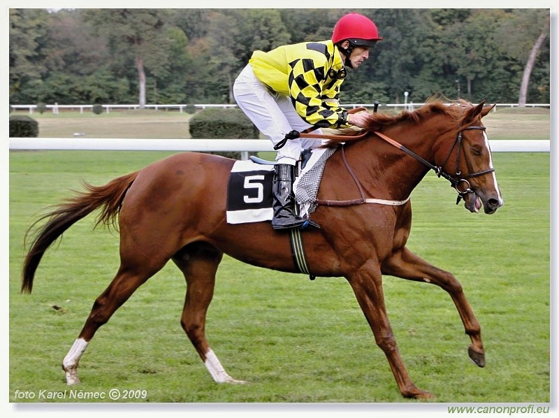 Bratislava - 18. oktbra 2009 