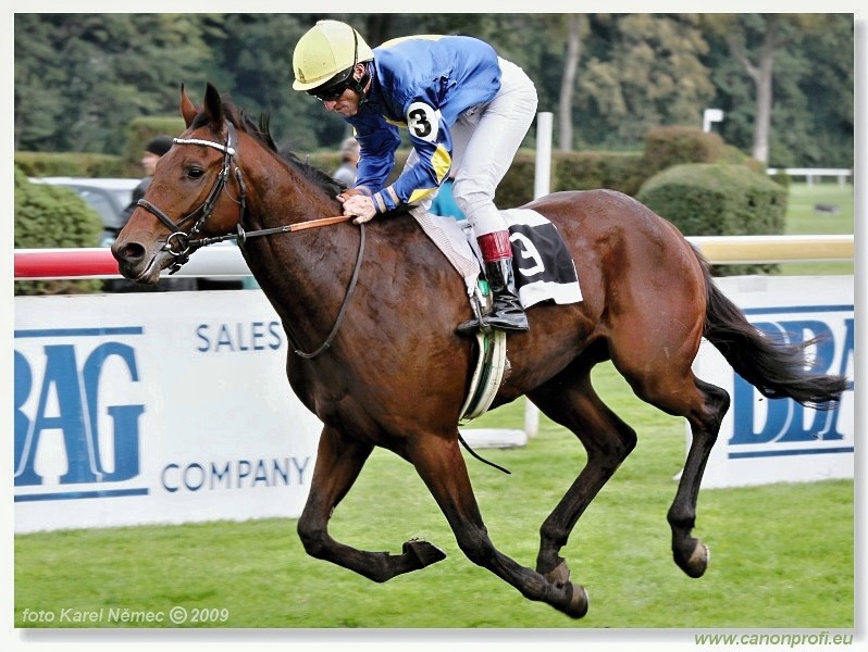 Bratislava - 18. oktbra 2009 