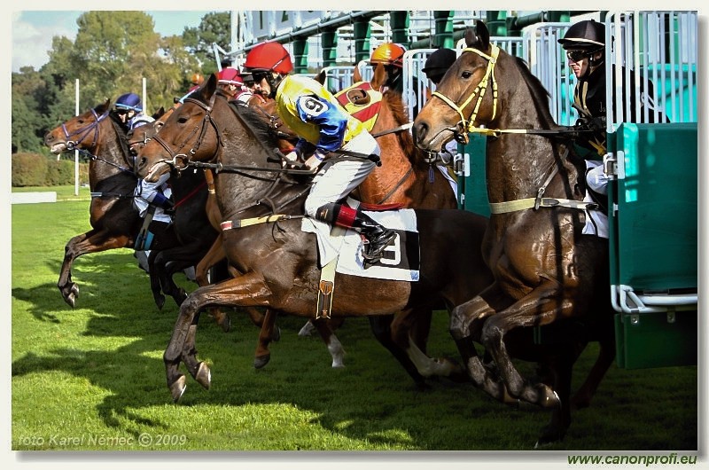 Bratislava - 18. oktbra 2009 