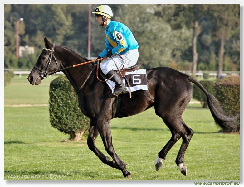 Bratislava - 18. oktbra 2009 