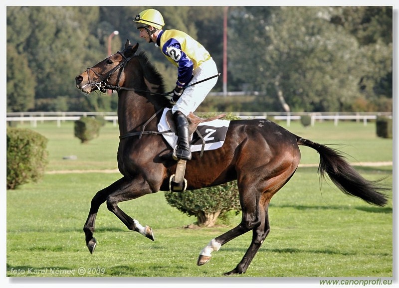 Bratislava - 18. oktbra 2009 