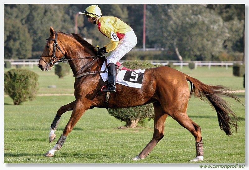 Bratislava - 18. oktbra 2009 