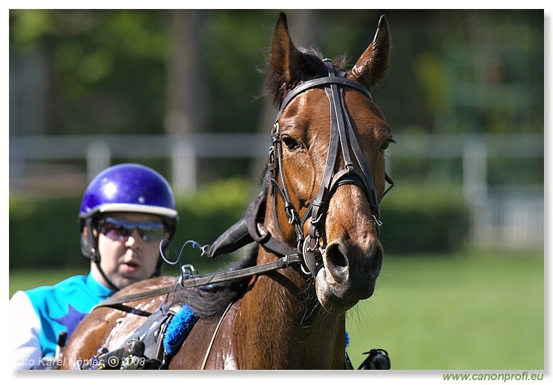 Bratislava - 27. apr�la 2008