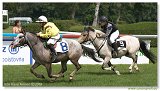 Pony I 