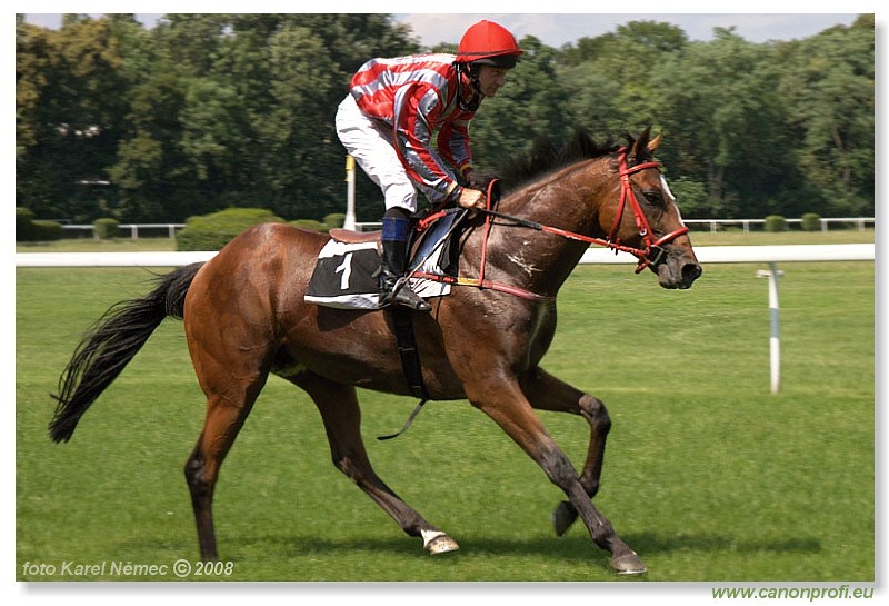 Bratislava - 22. j�na 2008 