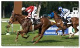 Derby-Trial 