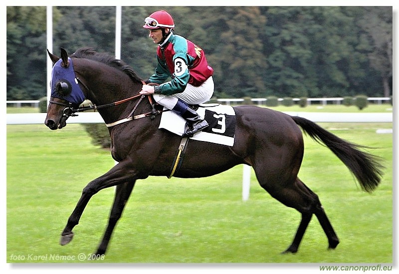 Bratislava - 14. septembra 2008 