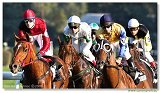 St. Leger 