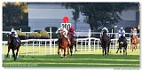 St. Leger 