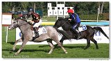 Pony I 